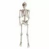 Gemmy 5 ft. Bone Skeleton with Open Mouth 2 Gemmy 5 ft. Bone Skeleton with Open Mouth -Deals Gemmy Store 1660939